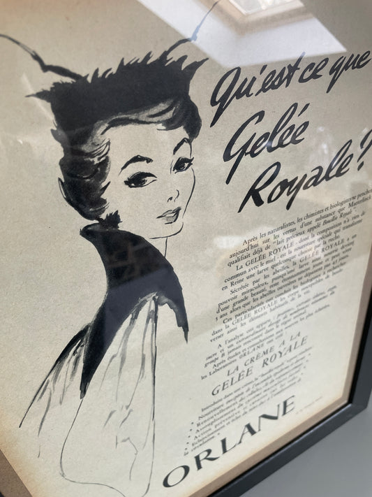 Publicité Vintage Gelée Royale Orlane Paris Match 1954 - Les Ateliers de Minnie Valentine